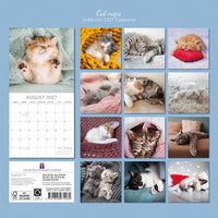 Gifted Stationery Calendar Cat Naps 2027
