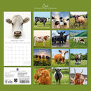 Gifted Stationery Calendar Cows 2027