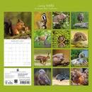 Gifted Stationery Calendar Country Wildlife 2027