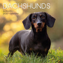 Gifted Stationery Calendar Dachshunds 2027