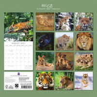 Gifted Stationery Calendar Big Cats 2027