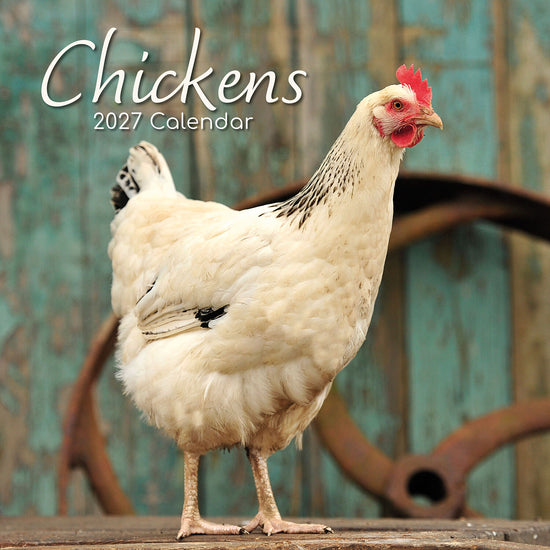 Gifted Stationery Calendar Chickens 2027
