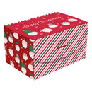 Christmas Flat Pack Box Funky Santa