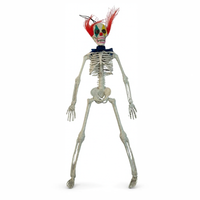 Clown Skeleton 40cm (Colour May Vary)