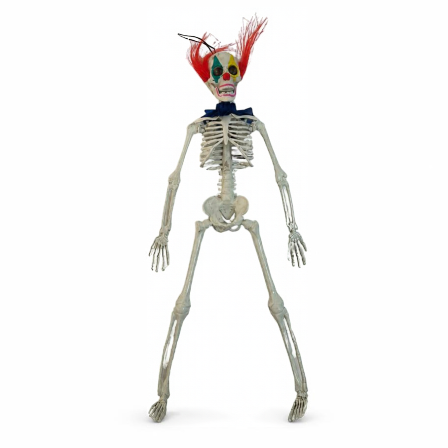 Clown Skeleton 40cm (Colour May Vary)