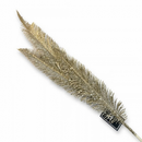 Glitter Feather Stem Champagne 81cm