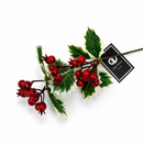Classic Holly Pick 27cm