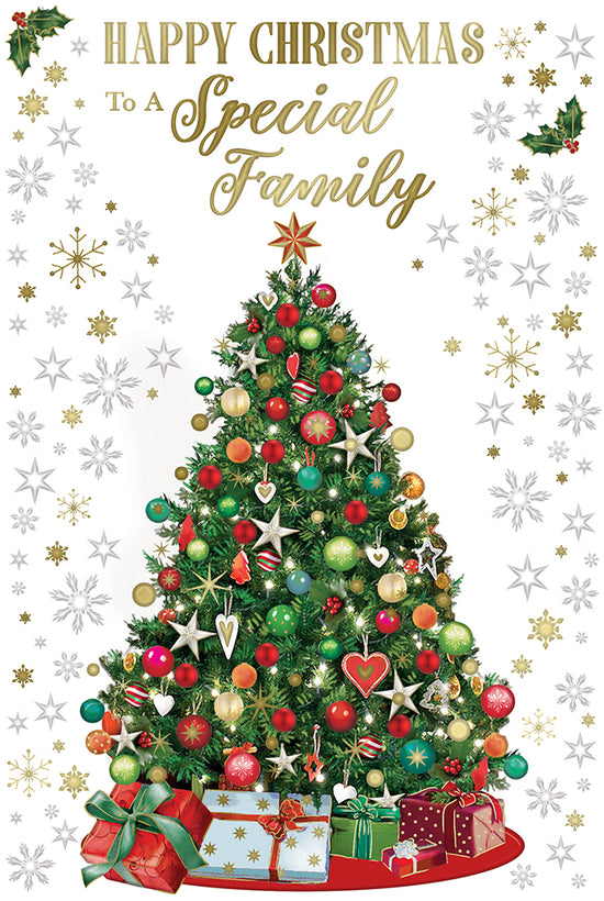 Xpress Yourself C75 Christmas Special Family 6pk