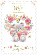 Xpress Yourself C75 Birthday Wife 6pk