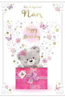 Xpress Yourself C75 Birthday Nan 6pk
