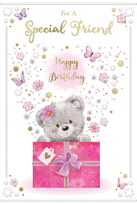 Xpress Yourself C75 Birthday Special Friend 6pk