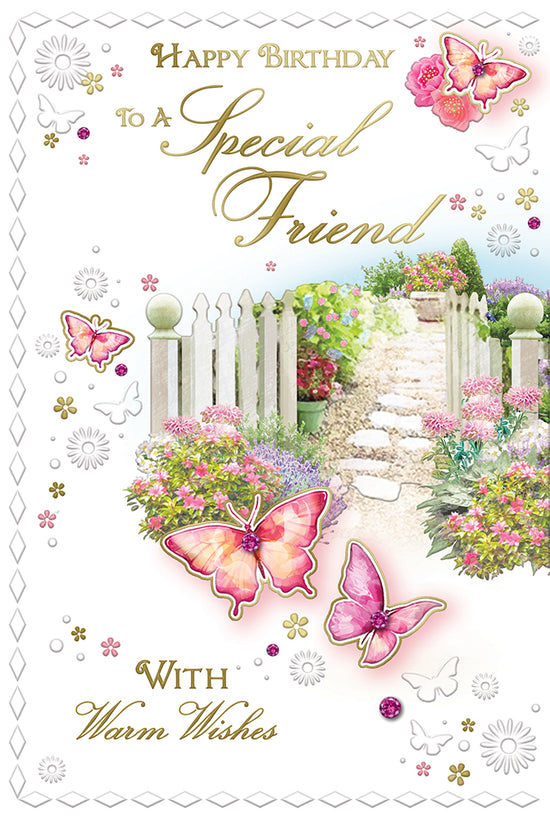 Xpress Yourself C75 Birthday Special Friend 6pk
