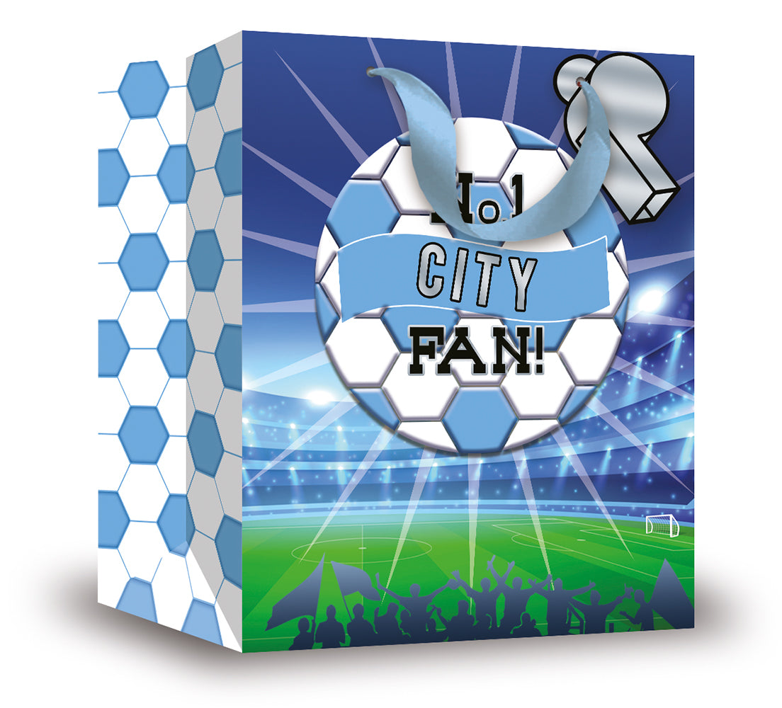 Gift Bag City Fan Large 6pk