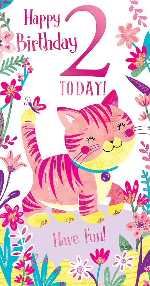 Kingfisher C30 Birthday Age 2 6pk