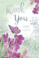 Kingfisher C50 Thank You 6pk