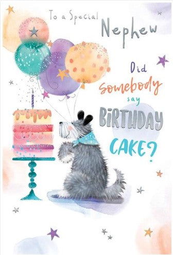 Kingfisher C75 Birthday Nephew 6pk