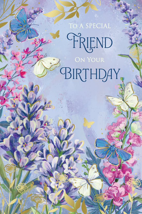 Kingfisher C75 Birthday Friend 6pk