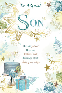Kingfisher C75 Birthday Son 6pk