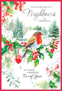 Simon Elvin C50 Christmas Neighbours