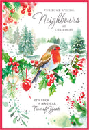 Simon Elvin C50 Christmas Neighbours