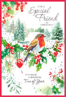 Simon Elvin C50 Christmas Special Friend