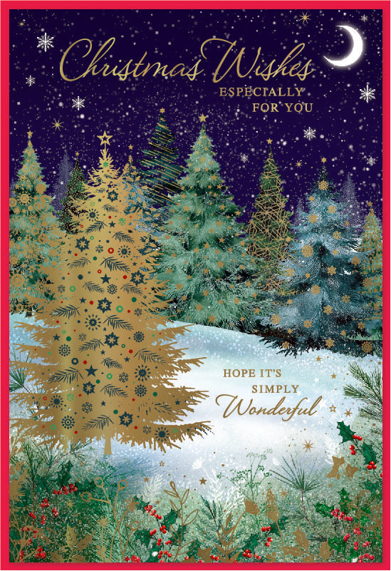 Simon Elvin C50 Christmas Open