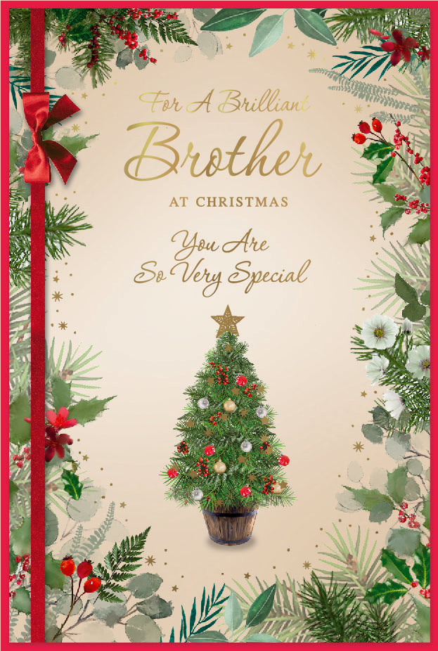 Simon Elvin C75 Christmas Brother