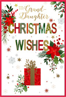 Simon Elvin C50 Christmas Granddaughter