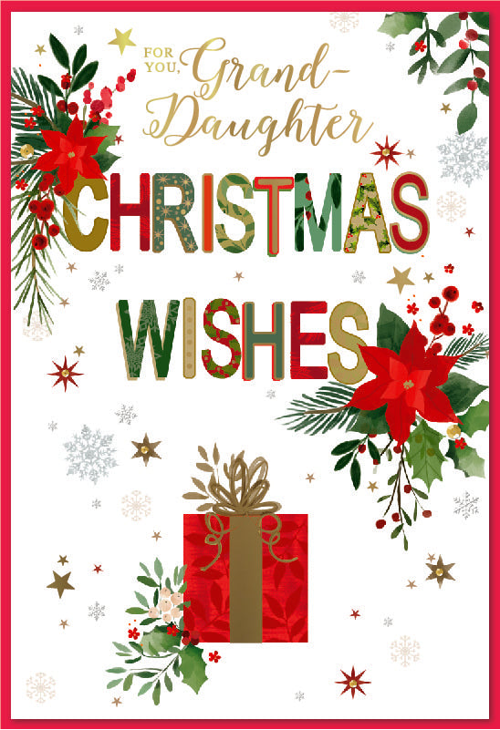 Simon Elvin C50 Christmas Granddaughter
