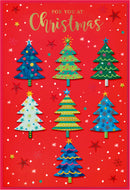 Simon Elvin C50 Christmas Open