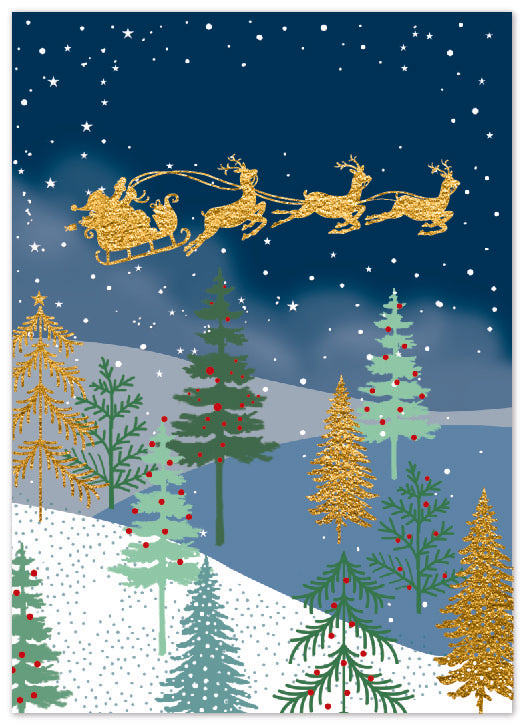 Simon Elvin Christmas Foil Box Assortment 48x14pk