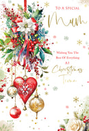 Kingfisher C50 Christmas Mum 6pk