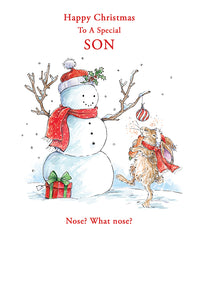 Kingfisher C50 Christmas Son 6pk