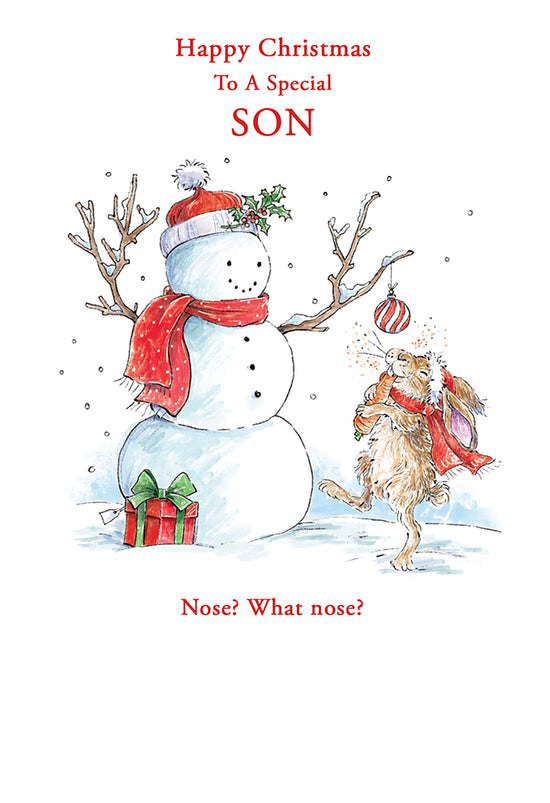 Kingfisher C50 Christmas Son 6pk