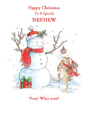 Kingfisher C50 Christmas Nephew 6pk