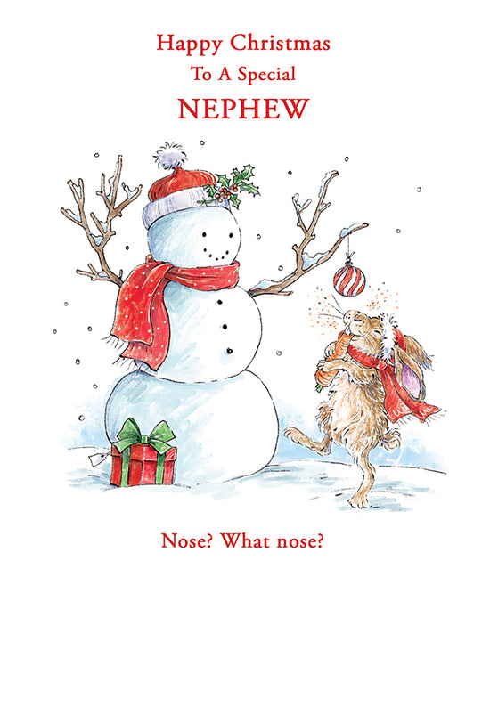 Kingfisher C50 Christmas Nephew 6pk