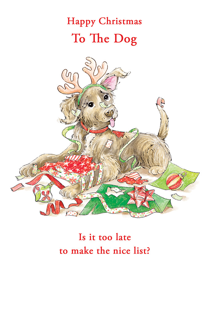 Kingfisher C50 Christmas Dog 6pk