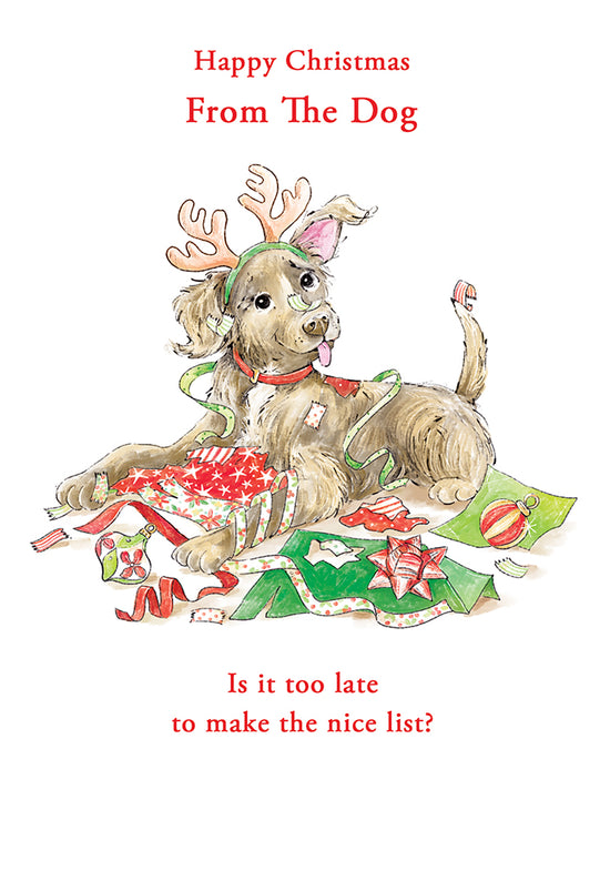 Kingfisher C50 Christmas From The Dog 6pk