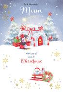 Kingfisher C50 Christmas Mum 6pk