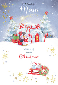 Kingfisher C50 Christmas Mum 6pk