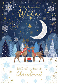 Kingfisher C60 Christmas Wife 6pk