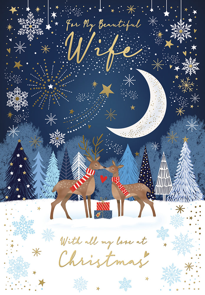 Kingfisher C60 Christmas Wife 6pk