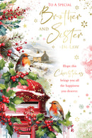 Kingfisher C75 Christmas Brother & SIL 6pk