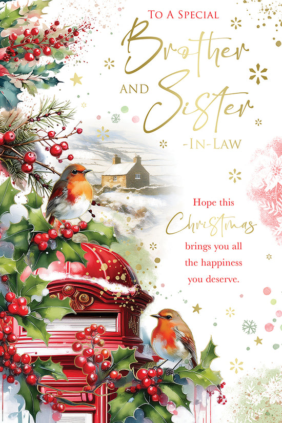Kingfisher C75 Christmas Brother & SIL 6pk