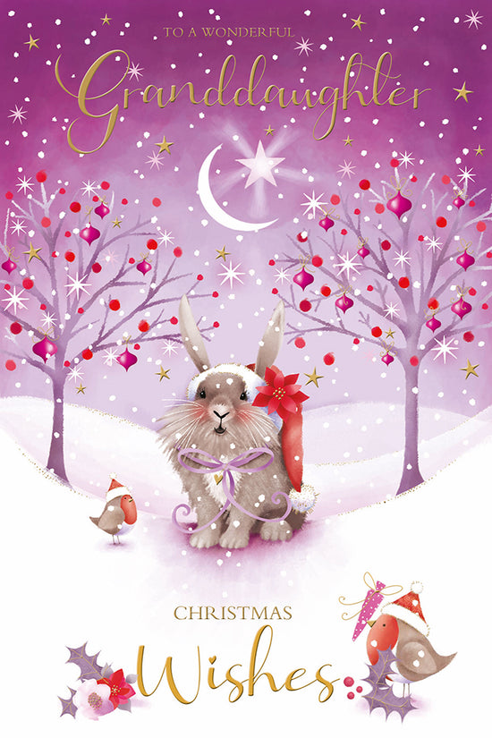 Kingfisher C75 Christmas Granddaughter 6pk