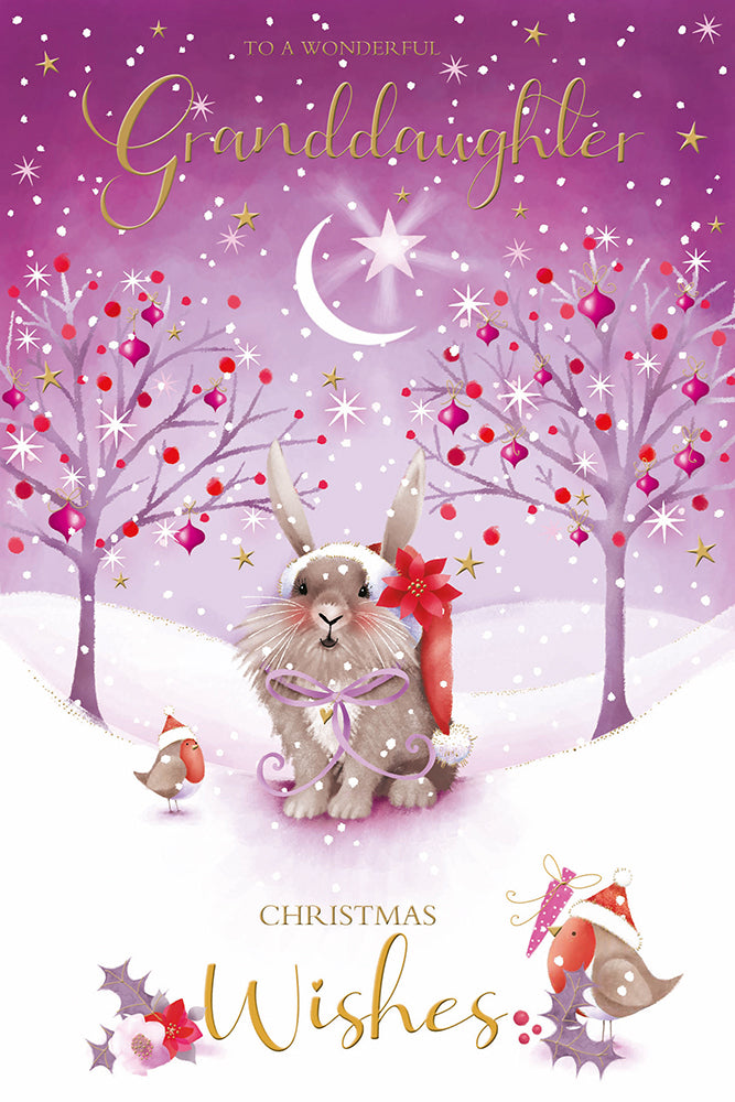 Kingfisher C75 Christmas Granddaughter 6pk