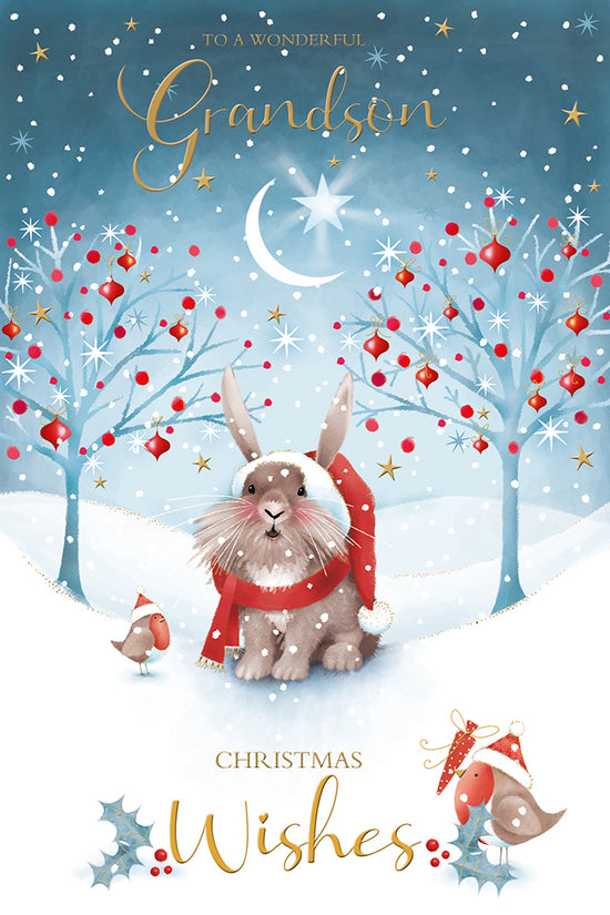 Kingfisher C75 Christmas Grandson 6pk