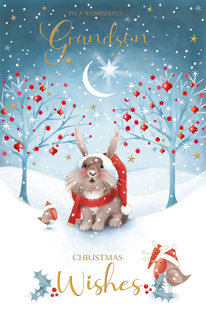 Kingfisher C75 Christmas Grandson 6pk