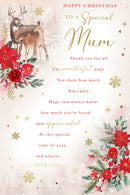 Kingfisher C75 Christmas Mum 6pk