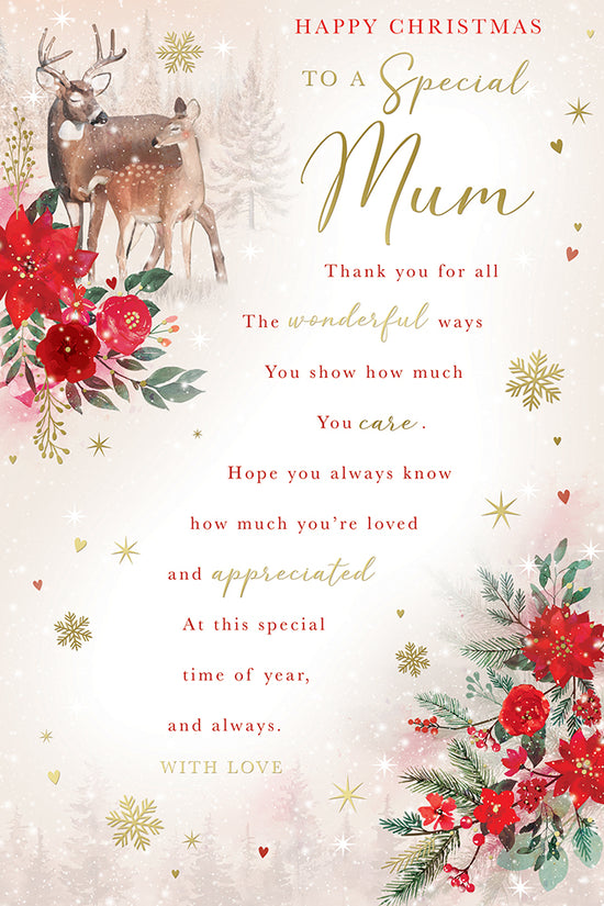 Kingfisher C75 Christmas Mum 6pk